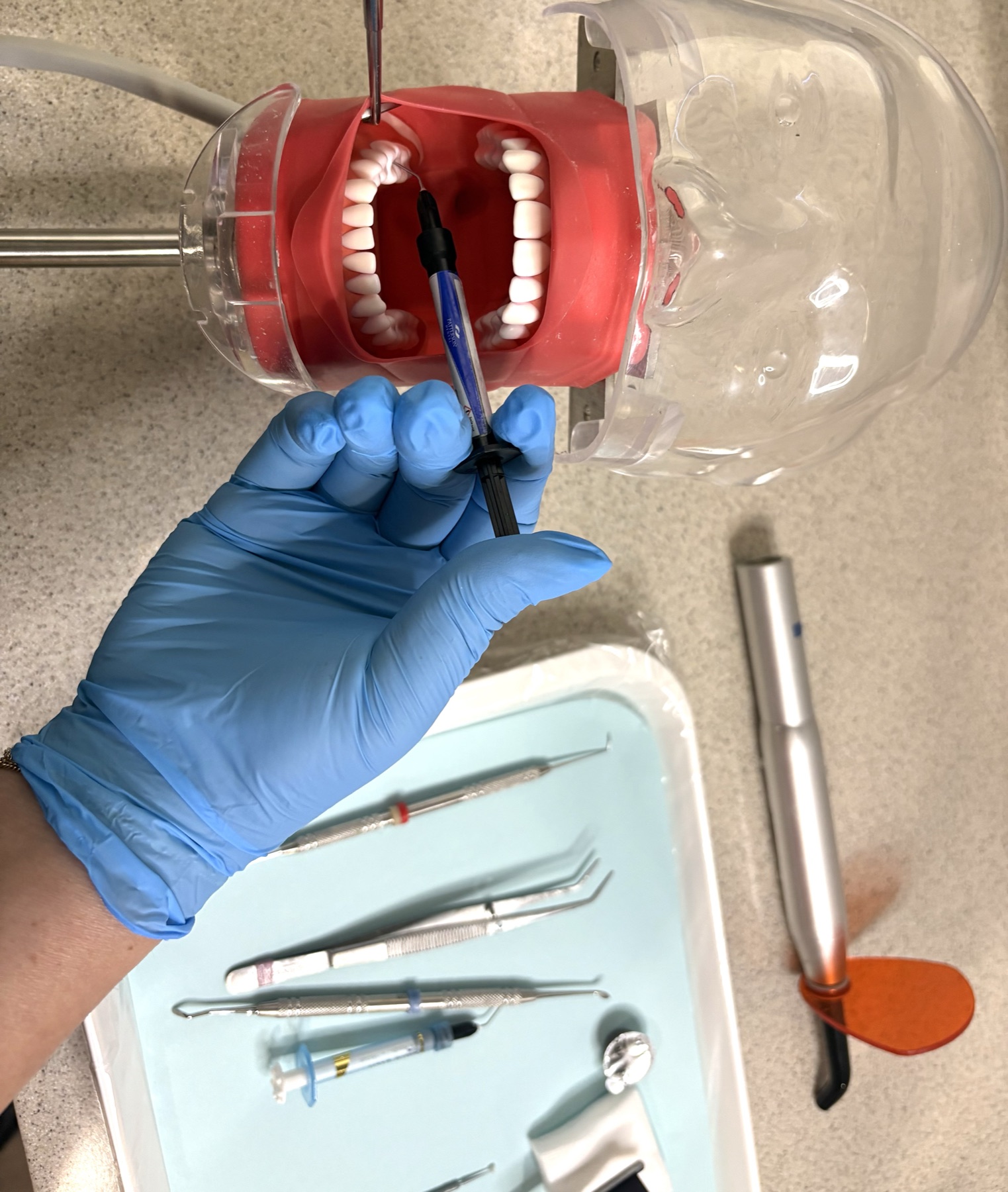 Roseville Dental Academy sealants course practice on a dental typodont.