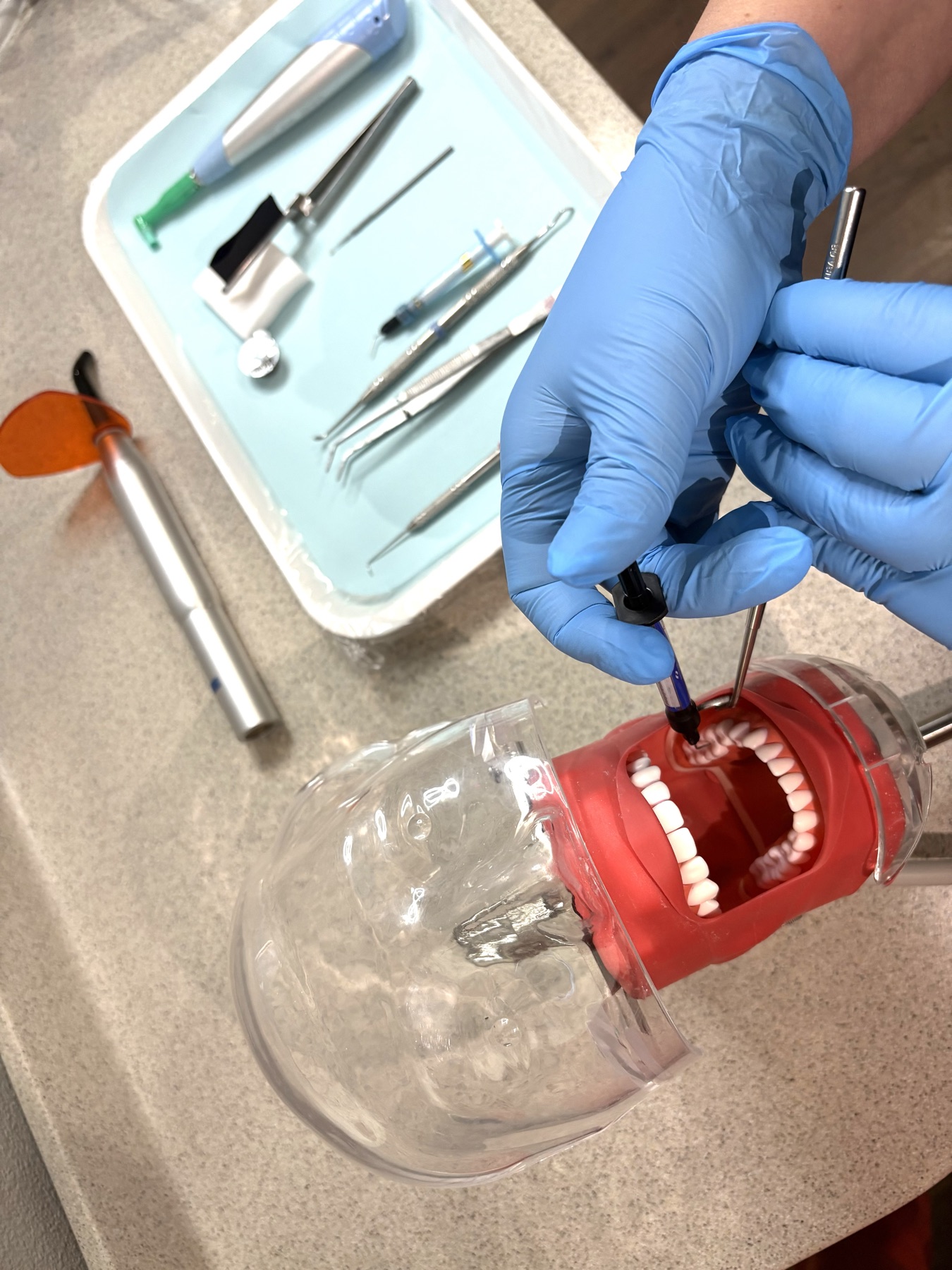 Sealants course tools and typodont practice setup at Roseville Dental Academy.